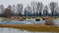 037_Biebrza - kwiecien 2011